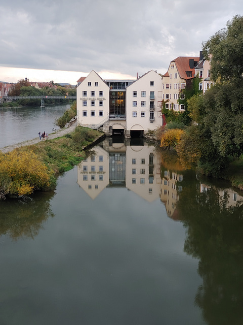 Danube Island Regensburg