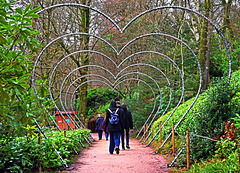 A Hearty Walk ~ Stourhead