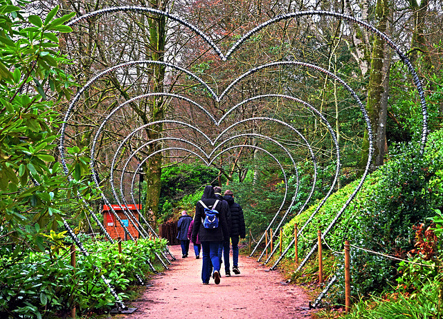 A Hearty Walk ~ Stourhead