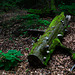 Auf dem Ernstberg in Hinterweiler in der Eifel