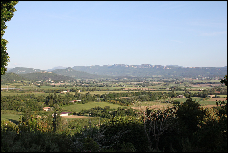 Panorama