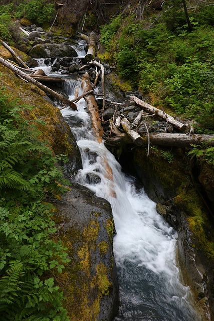 Grouse Creek