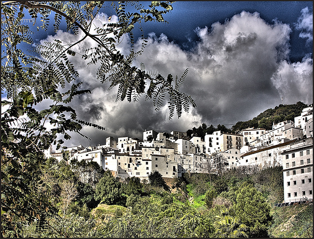 Casares
