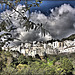 Casares