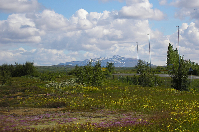 Geysir Geothermal Area