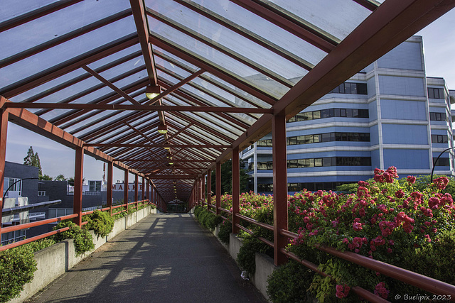 Overhead Walkway Esplanade Ave (© Buelipix)