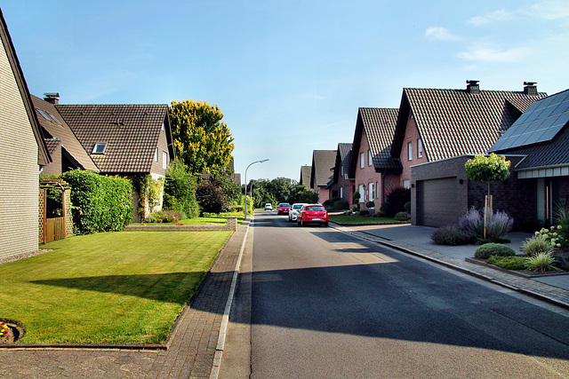 Wittestraße (Dorsten-Lembeck) / 20.07.2024