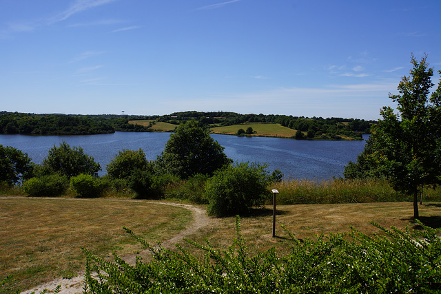DSC00979