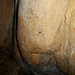 DSCN9231 - aranha