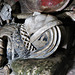 turvey church, beds  (16)c16 tomb with effigies of 2nd lord mordaunt +1571 and his two wives