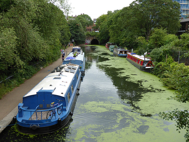 A View from Thornhill Bridge (2) - 26 July 2019