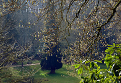 Springtime around Stourhead