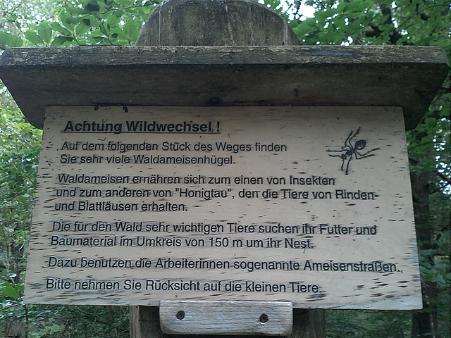 Achtung Wildwechsel!