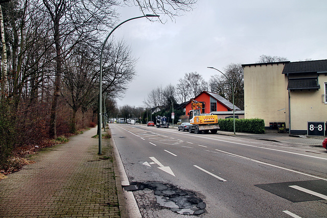 Höntroper Straße (Wattenscheid-Höntrop) / 17.02.2024