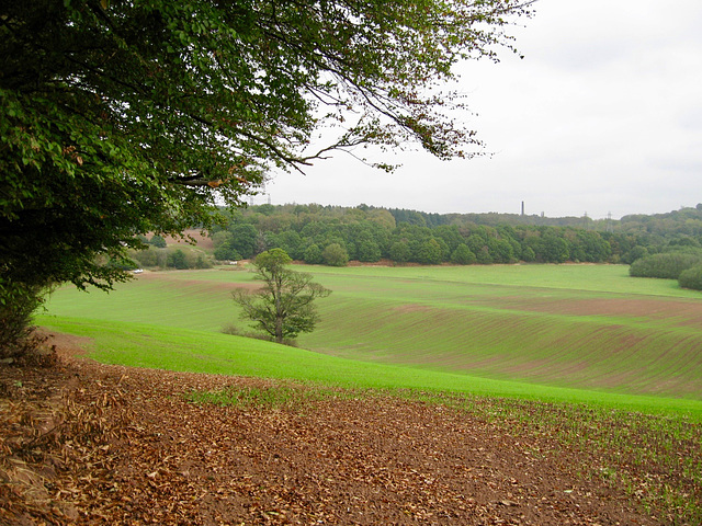 Looking from The Hill towards Baggeridge