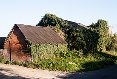 Bell Farm, Heddington Wick