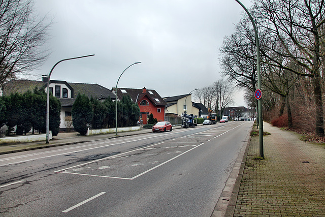 Höntroper Straße (Wattenscheid-Höntrop) / 17.02.2024