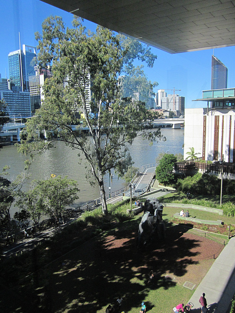 BrisbaneRiver 0717 2569