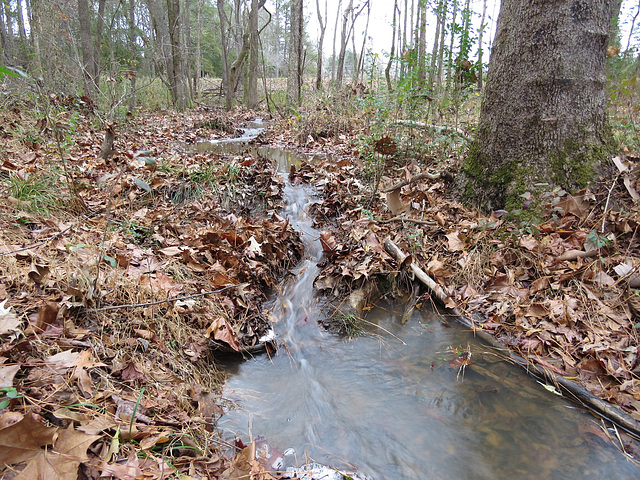 Small stream