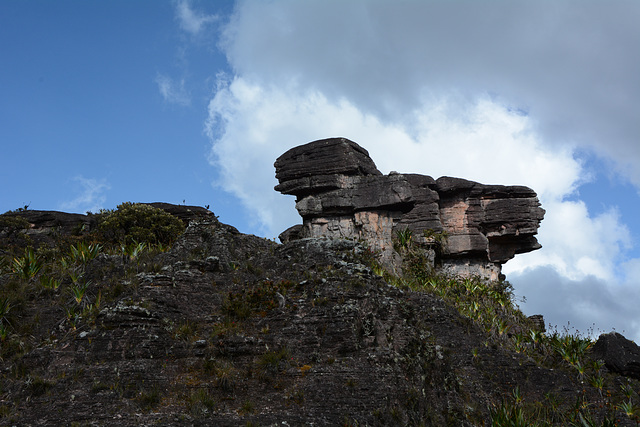 Venezuela, The surface topography of the weathered rocks at Flat Top of Roraima