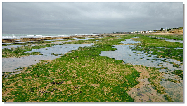 374 Plage verte  à Jard Sur Mer 85