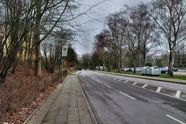 Höntroper Straße (Wattenscheid-Höntrop) / 17.02.2024