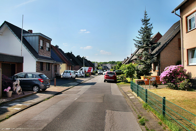 Walter-Felx-Straße (Bottrop-Fuhlenbrock) / 11.05.2024