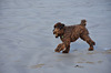 autumn at the beach