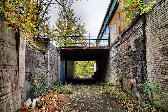 Verwildertes Gelände des ehem. Eisenwerks Geweke (Hagen-Haspe) / 22.10.2022