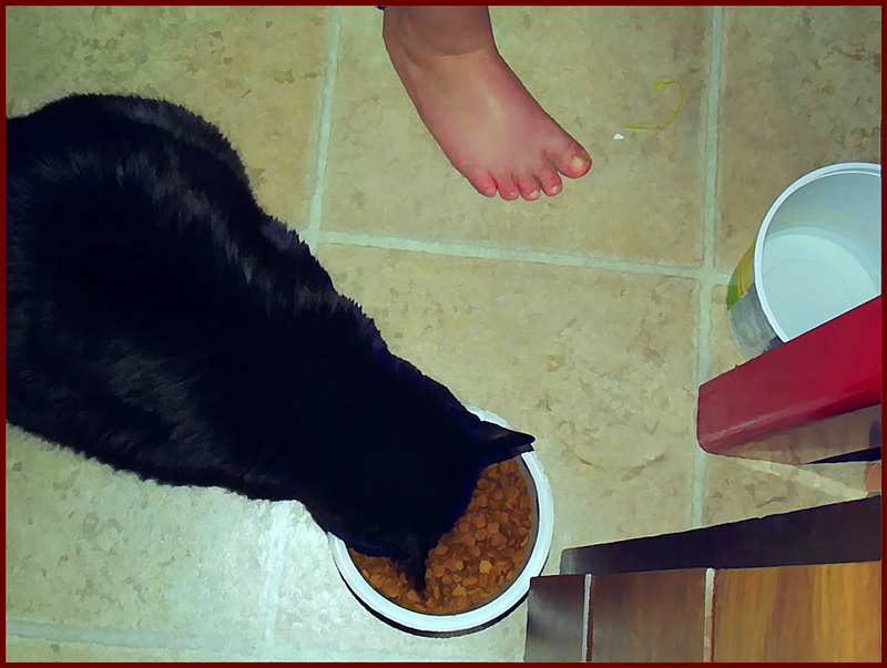 Kitty with girl's foot