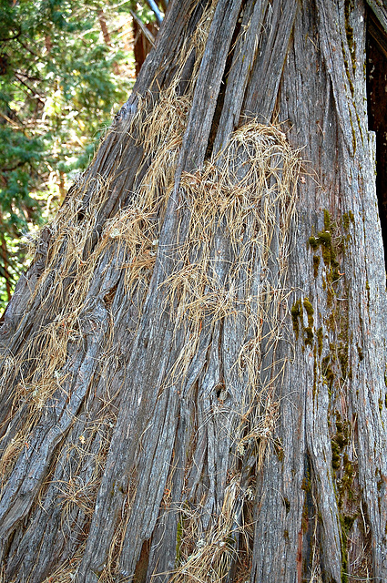 Exterior of the A tipi