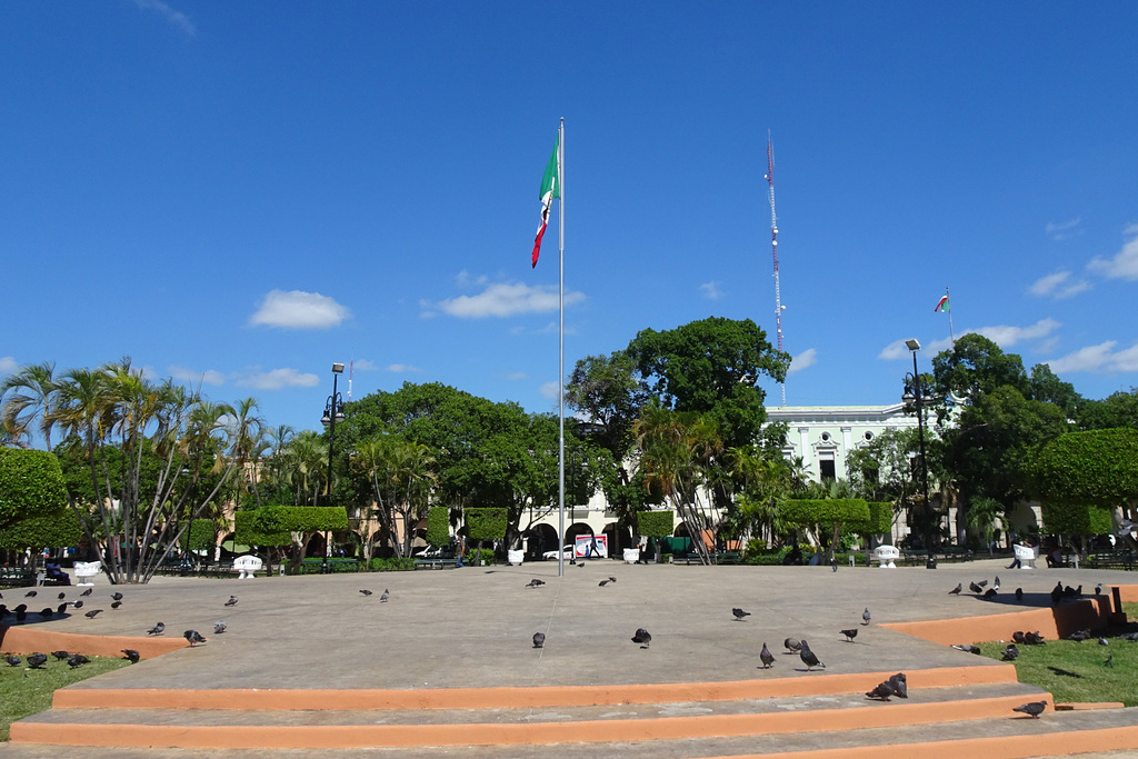 Plaza Grande