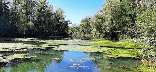 Ruhiges Wasser