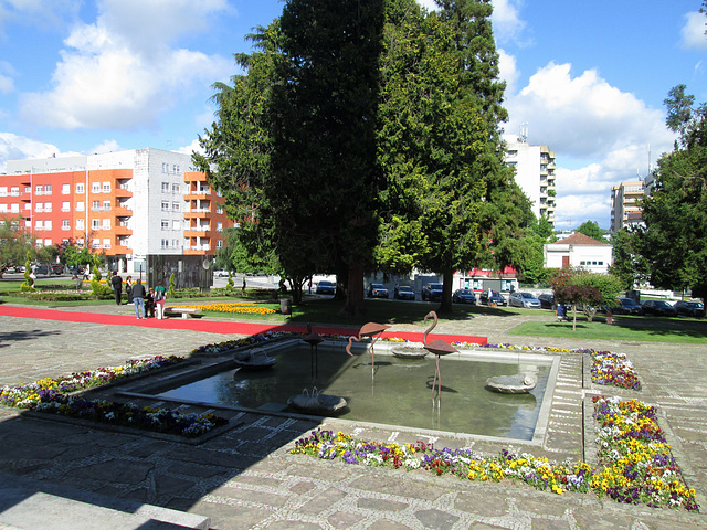 Pond in the garden.