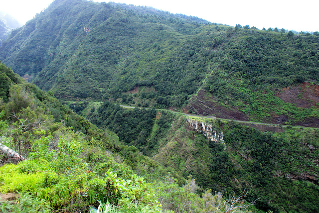 Auf der gegenüberliegenden Seite der Schlucht. ©UdoSm