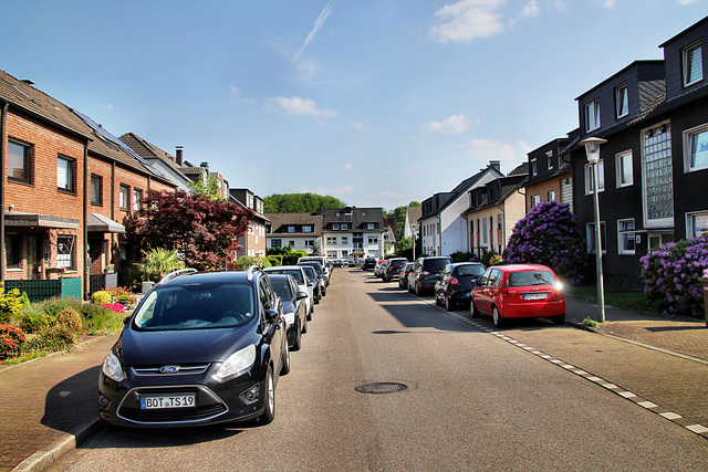 Am Nappenfeld (Bottrop-Fuhlenbrock) / 11.05.2024