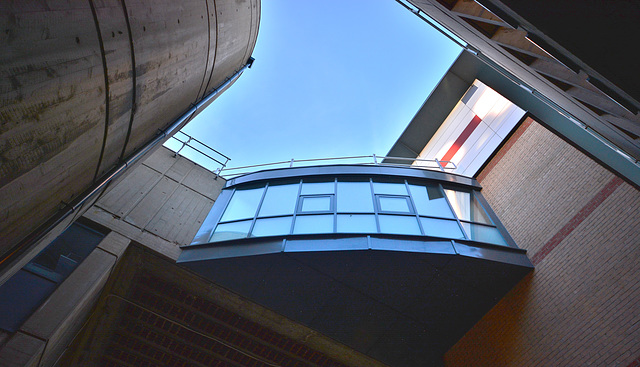 Upward Rotunda 3