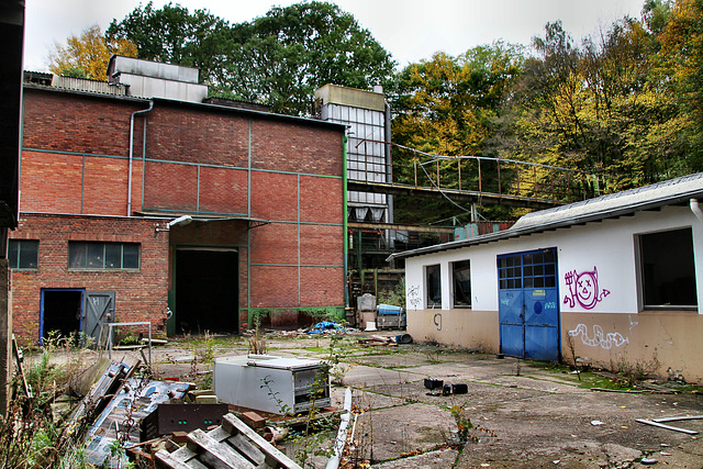 Verwildertes Gelände des ehem. Eisenwerks Geweke (Hagen-Haspe) / 22.10.2022