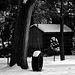 Snow On Tire Swing