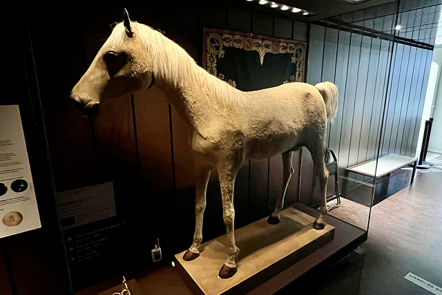 Paris 2024 – Hôtel des Invalides – Musée de l’Armée – Le Vizir