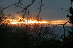 Soleil du soir ...Au loin l'Ardèche enneigée...
