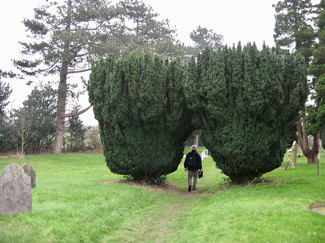 Churchyard of St Andrew at Clifton Campvillle