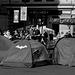 Extinction Rebellion