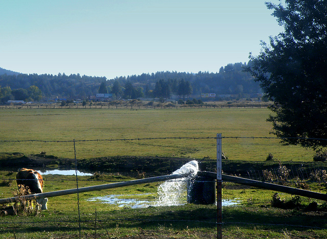 Water spout