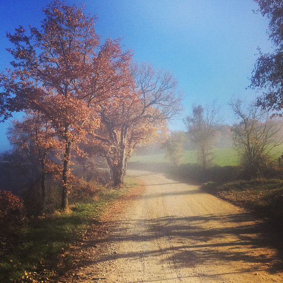 Country road.