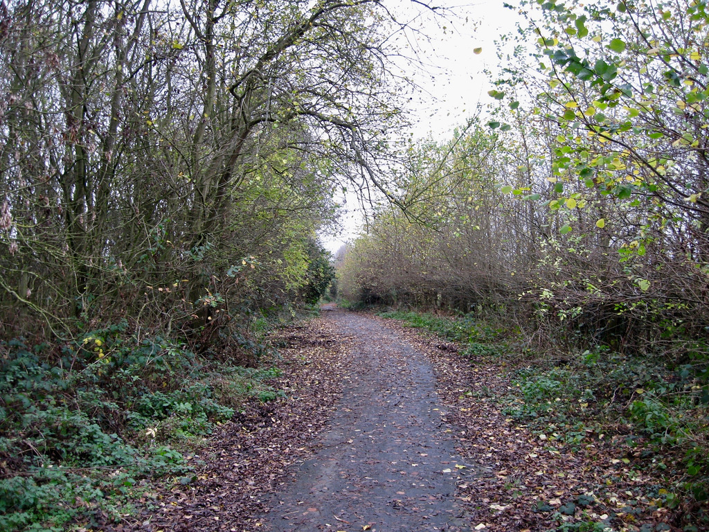 Holbeache Lane