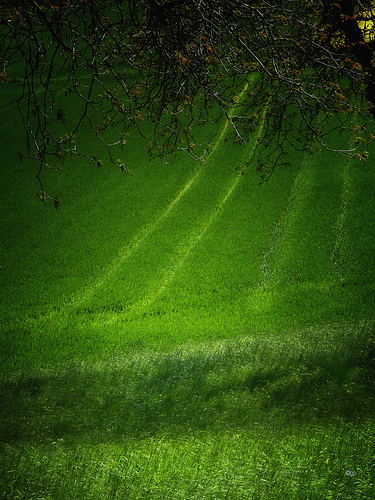 Through the Green