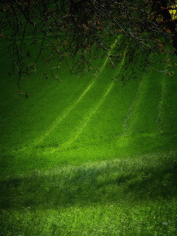 Through the Green