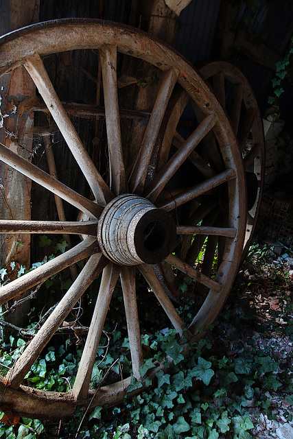 Ancienne roue de charrue avec bandage . .