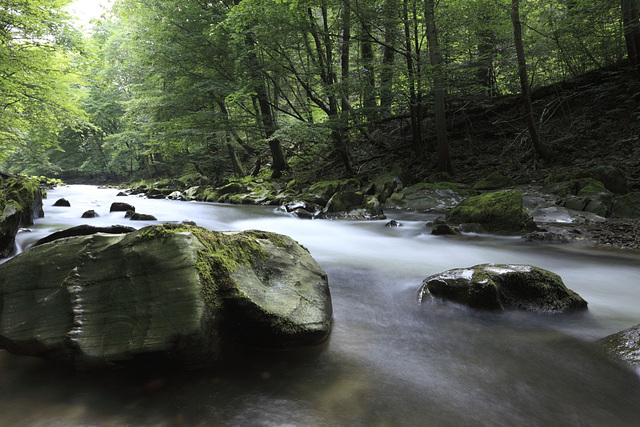 Die Schwarza ist ein etwa 53 Kilometer langer, linker Zufluss der Saale in Thüringen in Deutschland